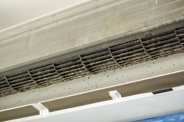 Best Ductwork Cleaning Services  in Dover, TN