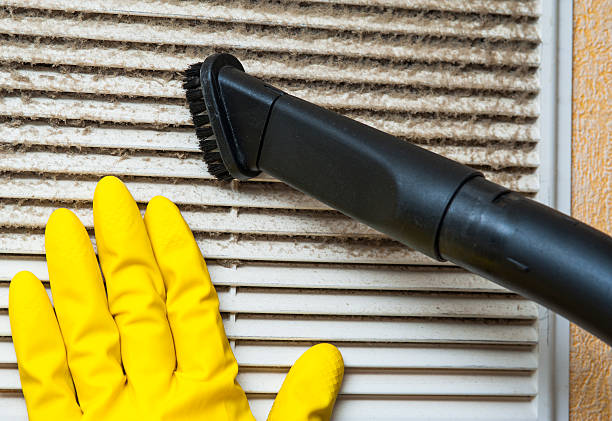 Best Air Duct Sanitizing Services  in Dover, TN